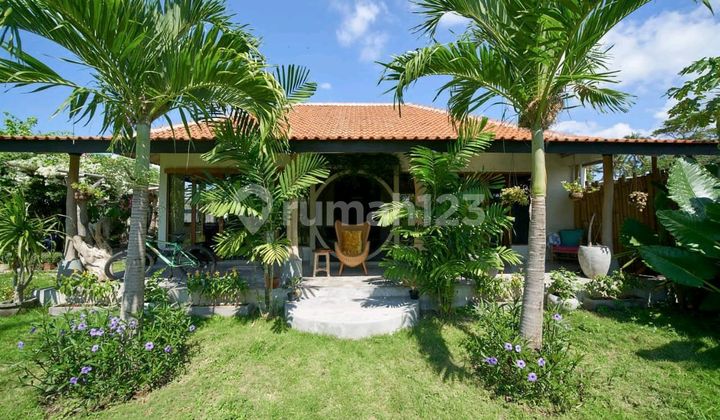For Rent Spacious, Beautiful, Comfortable, Lush Villa Located in Kedunggu, Tabanan, Bali.