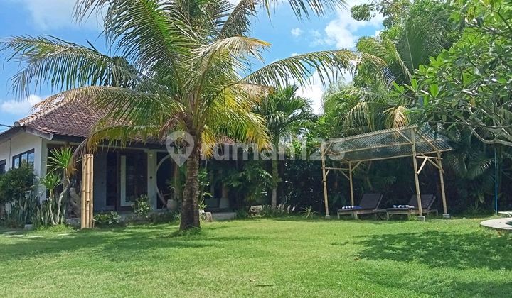 For Rent Spacious, Beautiful, Comfortable, Lush Villa Located in Kedunggu, Tabanan, Bali.
