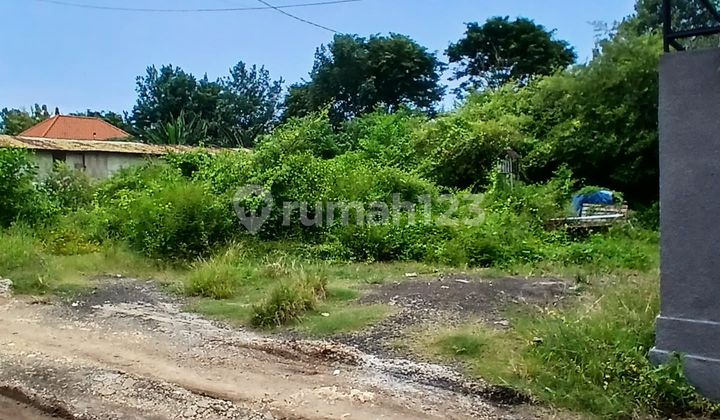 Disewakan Tanah Zona Pariwisata 10 Are di Pantai Balangan I, Ungasan - Akses Jalan 7 Meter Disewakan Tanah Zona Pariwisata 10 Are di Pantai Balangan I, Ungasan - Akses Jalan 7 Meter