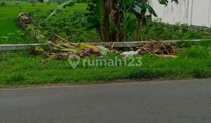 Land for Sale in Raya Balongpanggang Gresik, Prime Roadside Location, Ideal for Business!