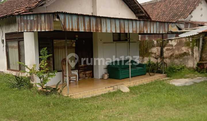 For Rent - Flamboyan House 31