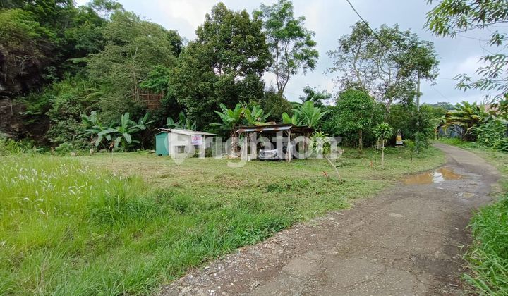 TANAH DI BEDUGUL TANAH DI BEDUGUL