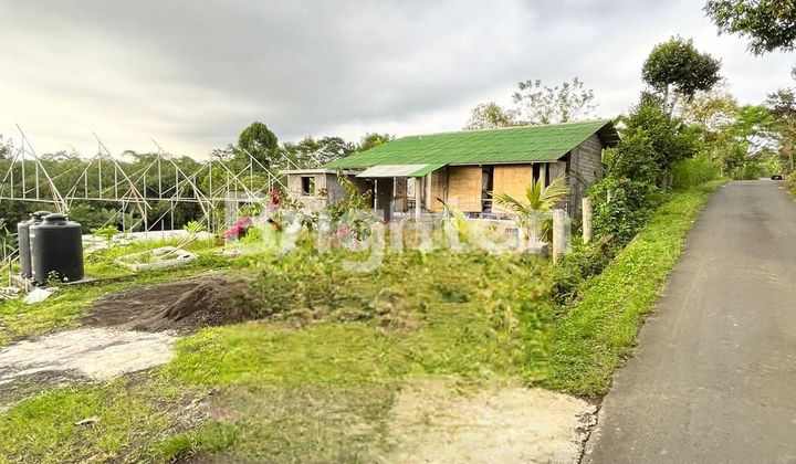 TANAH BONUS BANGUNAN DI ABUAN KINTAMANI TANAH BONUS BANGUNAN DI ABUAN KINTAMANI