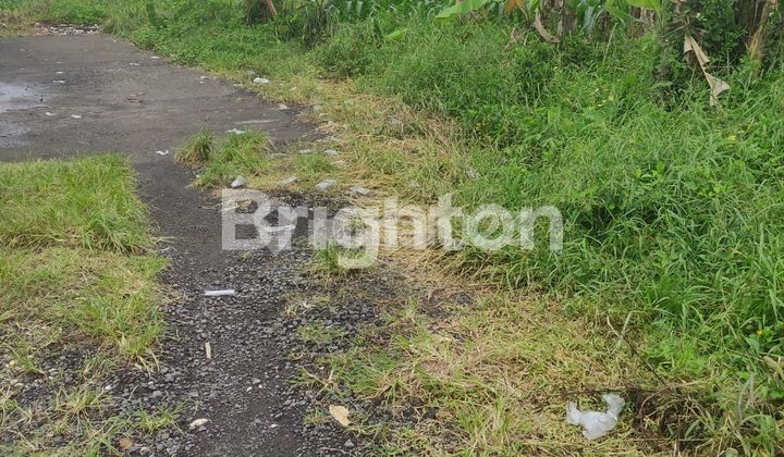 LAND IN GIANYAR