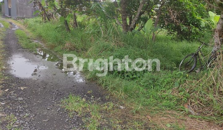 TANAH DI DEKAT AIR TERJUN BLANGSINGA GIANYAR TANAH DI DEKAT AIR TERJUN BLANGSINGA GIANYAR