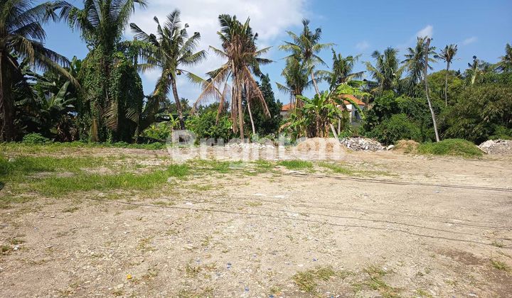 TANAH DI SABA TANAH DI SABA