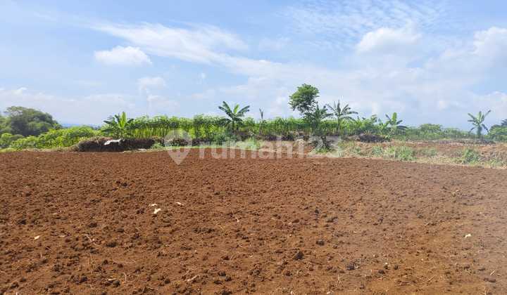 Jual Cepat, Tanah Seharga NJOP Siap Bangun Di Sentul 