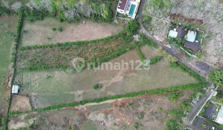 DIJUAL, Tanah Terbaik Lokasi Strategis Di Nyang Nyang Uluwatu DIJUAL, Tanah Terbaik Lokasi Strategis Di Nyang Nyang Uluwatu