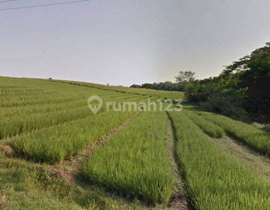 Jual Tanah 10 Are – View Gunung, Sungai & Sawah – 7 Menit ke Pantai Klecung – Tegal Mengkeb, Tabanan 1
