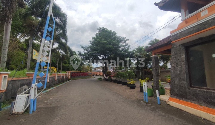 Kawasan Mahasiswa Bisa Bangun Homestay Lebih Untung Dari Deposito