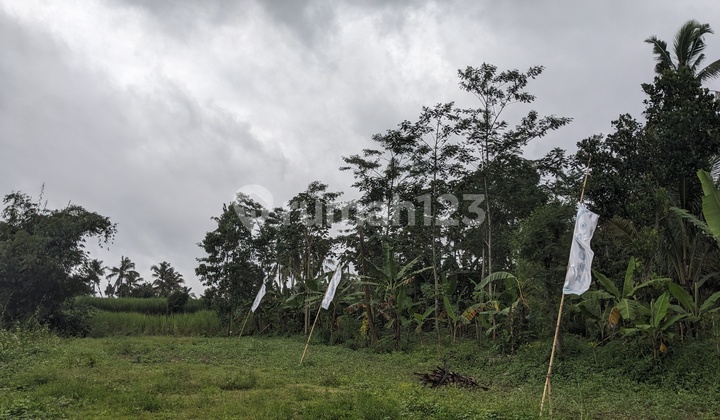 Dekat Samsat Kota Zona Komersil Kavling Tanah Malang