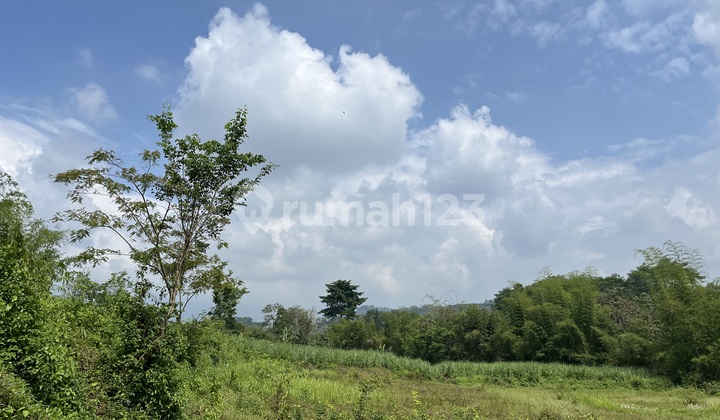 Affordable Land Near Wagir Malang Residential Area Affordable Land Near Wagir Malang Residential Area