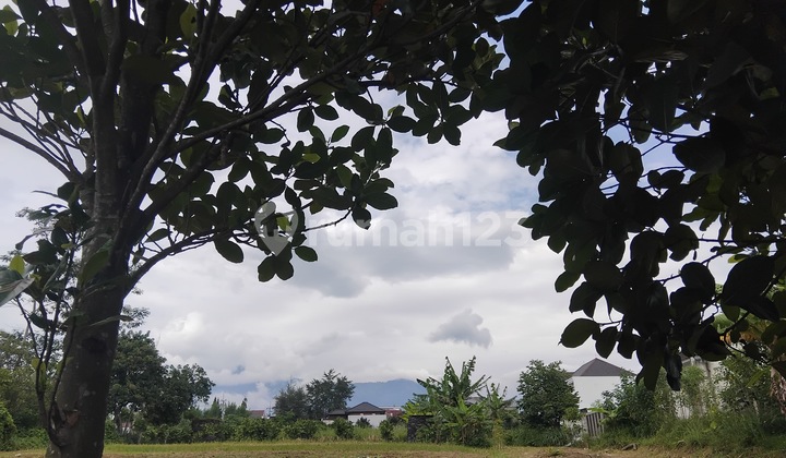 Safest Investment Instrument Residential Settlement Zone