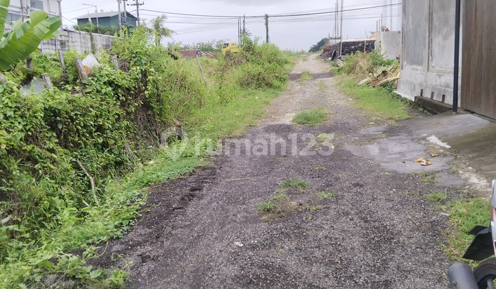 Land for Rent on Kapal Munggu Main Road, Close to Selingsing Suckling Pig. Land for Rent on Kapal Munggu Main Road, Close to Selingsing Suckling Pig.