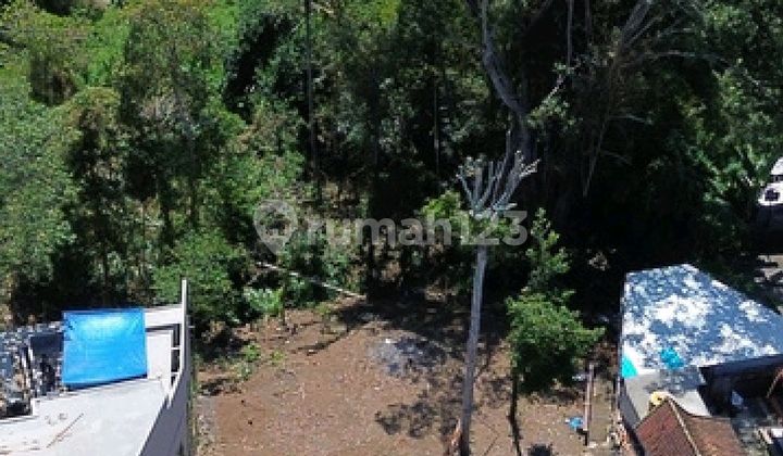 Land Lease at the Border of Cepaka, Munggu, and Tumbak Bayuh, 3-Meter Access with Jungle View, Comfortable Villa Setting, Away from the Crowd.