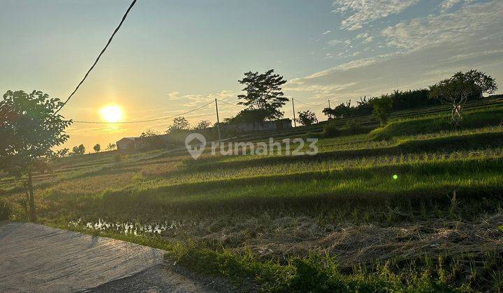 Land For Leasehold In Nyanyi 1