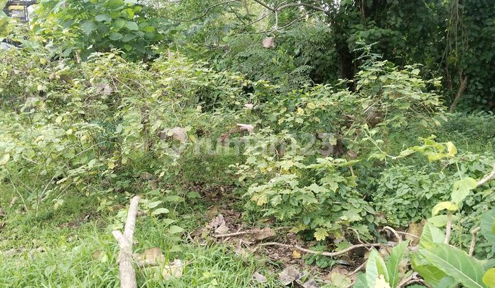 Land for Rent in Cepaka, Currently Highly Developed Environment for Villa Complex. Land for Rent in Cepaka, Currently Highly Developed Environment for Villa Complex.