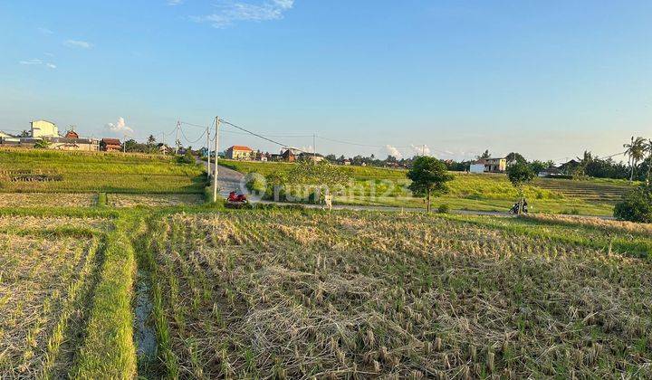 Land For Leasehold In Nyanyi 2