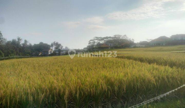 Land For Rent Near The Very Developing Nyanyi Beach, Near Luna Beach 1