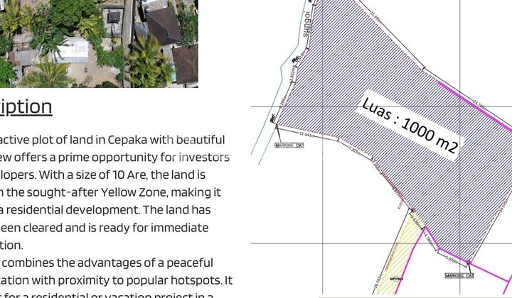 Land Lease at the Border of Cepaka, Munggu, and Tumbak Bayuh, 3-Meter Access with Jungle View, Comfortable Villa Setting, Away from the Crowd.