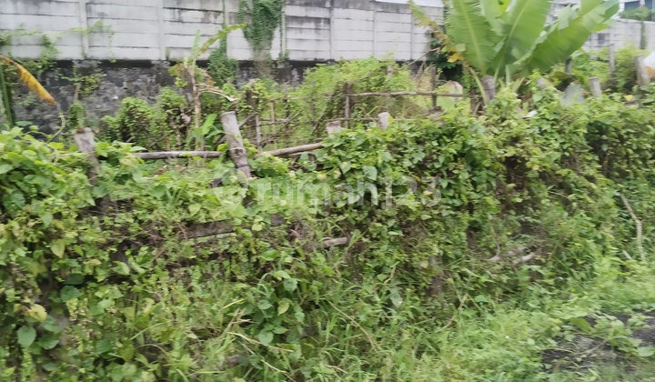 Land for Rent on Kapal Munggu Main Road, Close to Selingsing Suckling Pig. Land for Rent on Kapal Munggu Main Road, Close to Selingsing Suckling Pig.