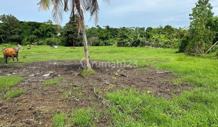 Land For Rent Jalan Pantai Nyanyi 1