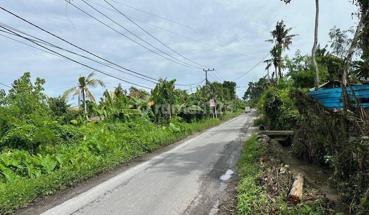 Land For Rent Jalan Pantai Nyanyi 2