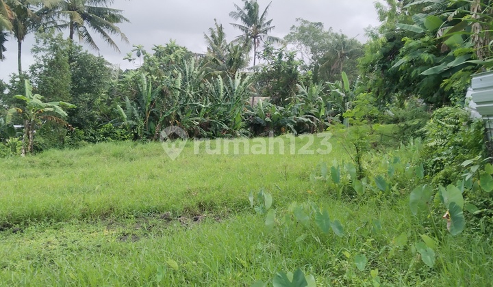 Land For Rent In Cepaka Border Munggu And Tumbak Bayuh, Direct Riverfront And Forest View Across. Land For Rent In Cepaka Border Munggu And Tumbak Bayuh, Direct Riverfront And Forest View Across.