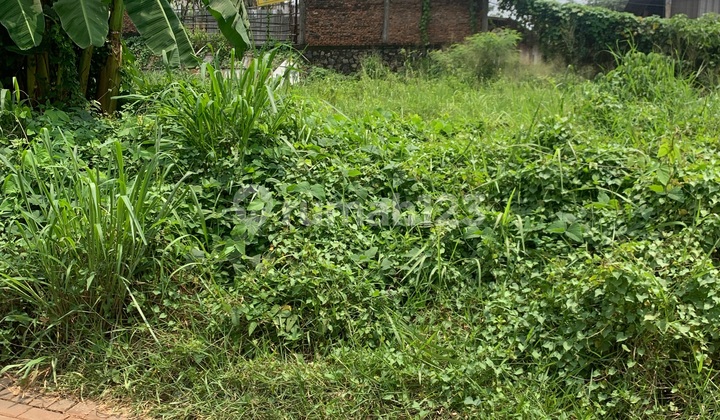 Disewakan Kavling/tanah Di Jl. Transyogi