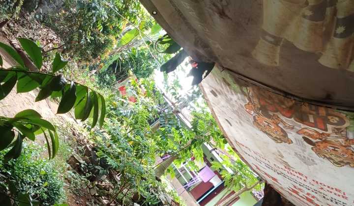 Dijual Ruko+tanah Di Jln Transyogie Cibubur Dijual Ruko+tanah Di Jln Transyogie Cibubur