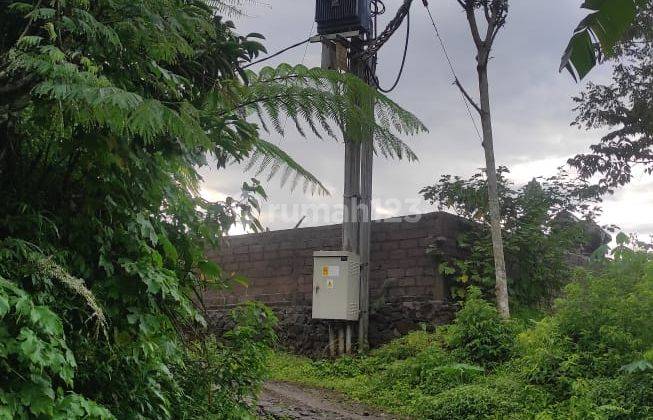 Tanah Kebun Kopi Robusta View Menarik Luas 80are Di Sukasada, Buleleng, Sangat Cocok Buat Tempat Singgah, Perkebunan, Tempat Retret Ataupun Di Investasikan Kembali, Wilayah Yang Tenang Yang Menjanjikan Udara Yang Sejuk.  2