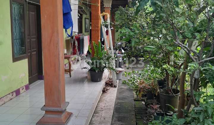 Rumah Di Main Road Suli Dekat Pusat Kota Denpasar Utara Investasi Menjanjikan Rumah Di Main Road Suli Dekat Pusat Kota Denpasar Utara Investasi Menjanjikan
