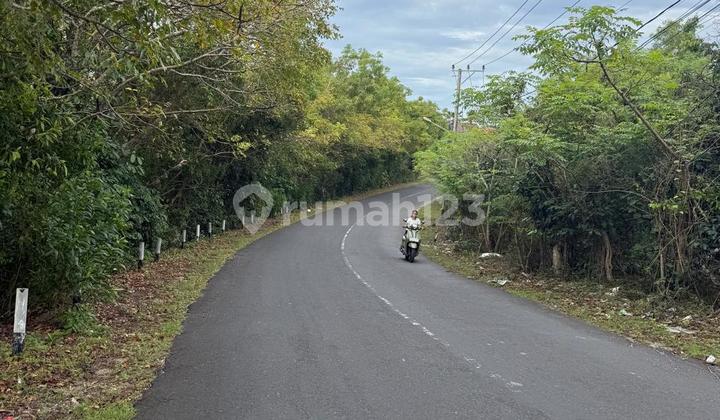 Tanah Terasering Cocok Buat Villa, Unggasan Badung