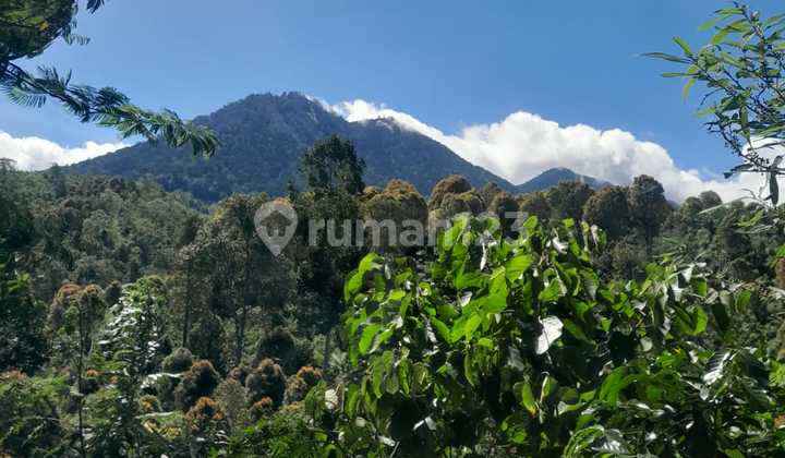 Tanah Sangat Strategis Munduk, Singaraja