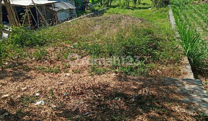 Tanah Main Road Bay Pass Idm Cocok Buat Usaha Gudang, Bengkel, Minimarket, Restaurant Dan Lainnya Tanah Main Road Bay Pass Idm Cocok Buat Usaha Gudang, Bengkel, Minimarket, Restaurant Dan Lainnya