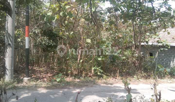 Tanah 1338 Meter Persegi Di Bangunjiwo Kasihan Bantul. Tanah 1338 Meter Persegi Di Bangunjiwo Kasihan Bantul.