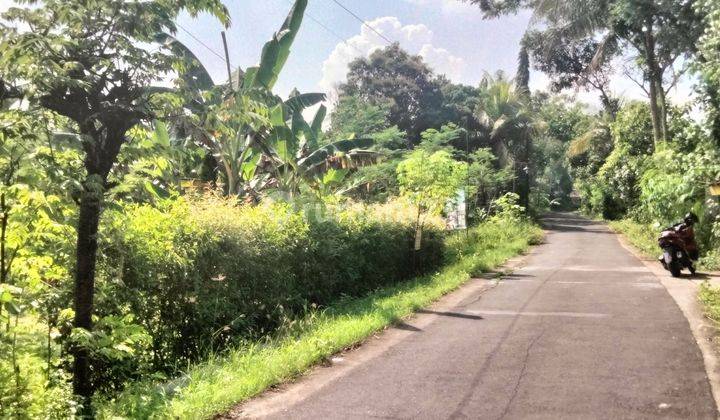 Tanah Pekarangan Lokasi dekat Pemda Kulonprogo, Stasiun Wates dan Terminal Wates 1
