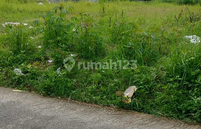 Tanah Luas 189 Meter Persegi Lokasi di Daerah Jati Sawit Gamping Sleman