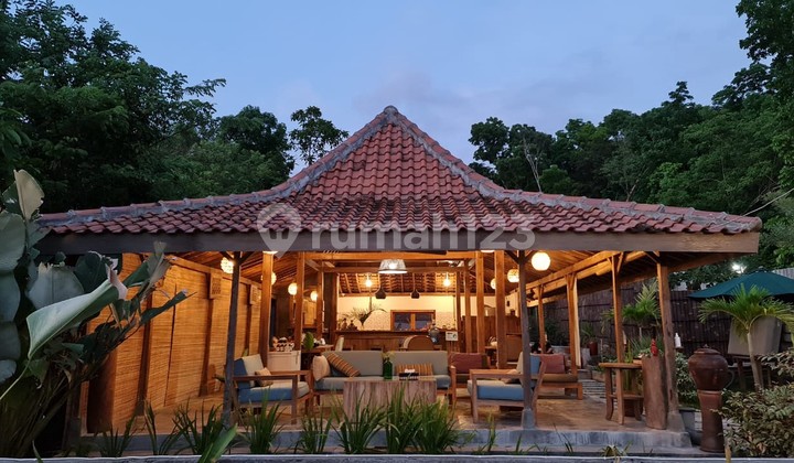 For Sale Villa in Kasongan area, Bangunjiwo, Kasihan, Bantul.