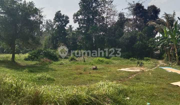Dijual Tanah Sawah Luas 2145 Meter Persegi di Seyegan Sleman 