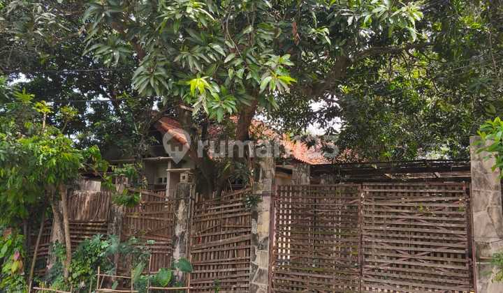 Dijual Rumah Tua Hitung Tanah di Lippo Karawaci