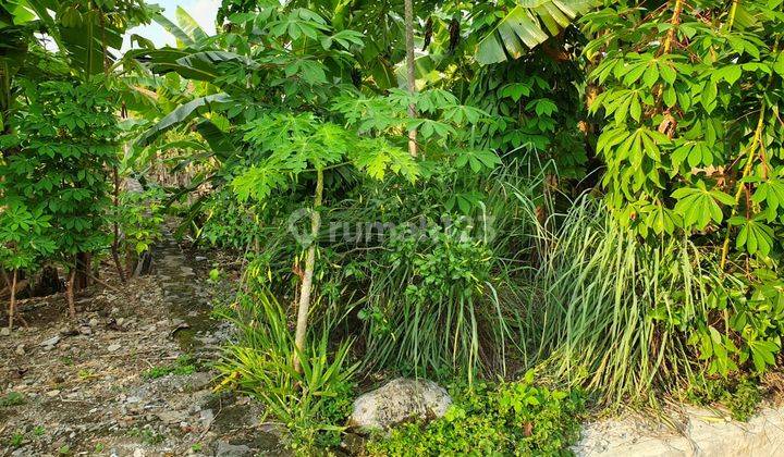 Tanah Tlogomulyo depan Perumahan BPD 3 Pedurungan Semarang 2