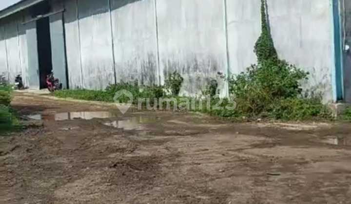 Dijual Tanah Siap Bangun Marunda Cilincing Jakarta utara Luas tanah 3.6 Ha