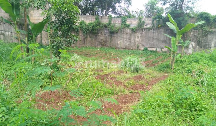 Dijual Tanah Kampung Dekat BSD Dijual Tanah Kampung Dekat BSD