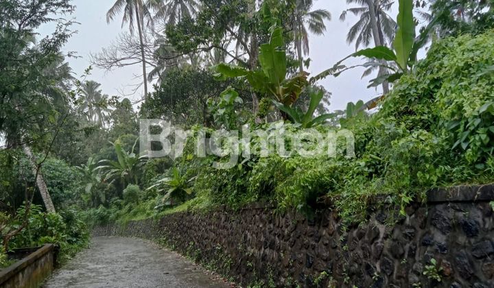 TANAH DI DESA TUNJUK TABANAN 1