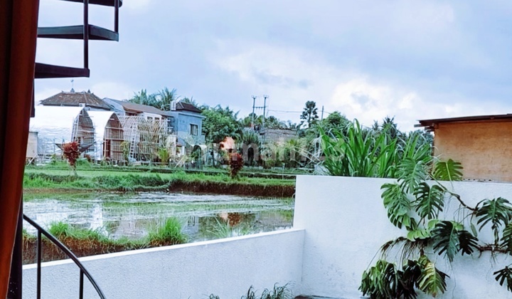 Villa In Ubud Gianyar Bali Fully Furnished Villa In Ubud Gianyar Bali Fully Furnished