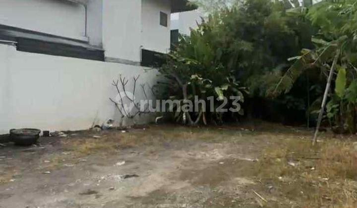 Tanah Di Canggu Tibubeneng Bali Buc Turun Harga Tanah Di Canggu Tibubeneng Bali Buc Turun Harga