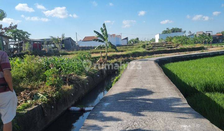 Tanah Kavling Murah Tanah Lot Tabanan Beraban Bali, Dekat Dengan Wisata Tanah Lot, Hype Villa, Harvest Palace, Sari Amerta Iga&luwak Coffee 1