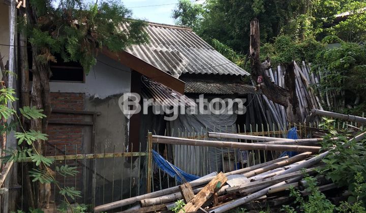 Tanah Siap Bangun di Sambiroto Semarang Timur 2