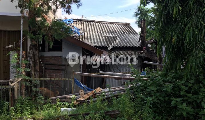 Tanah Siap Bangun di Sambiroto Semarang Timur 1